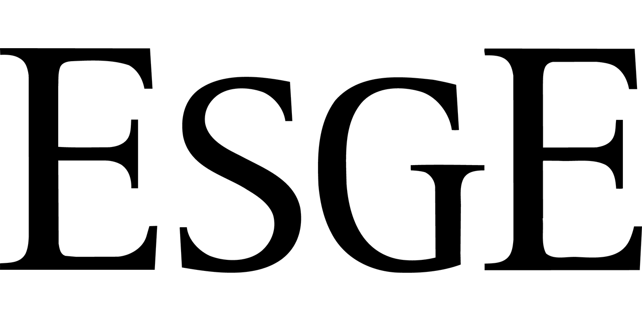 Afbeeldingsresultaat voor esge logo