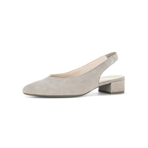 Pumps
