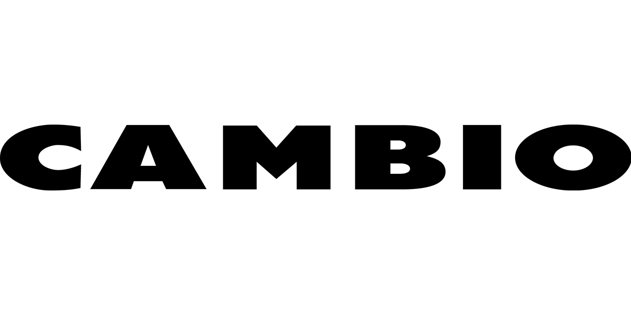 Cambio