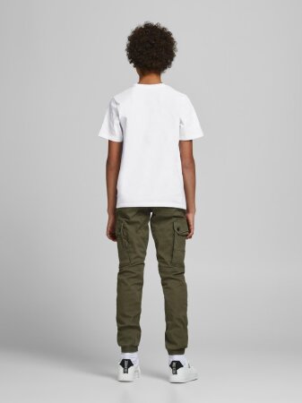 JJEORGANIC BASIC TEE SS O-NECK NOOS