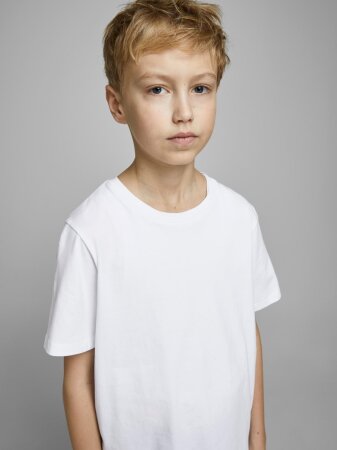 JJEORGANIC BASIC TEE SS O-NECK NOOS