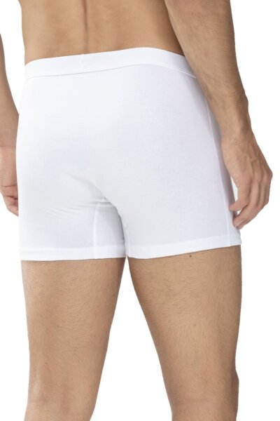 Trunk Shorts