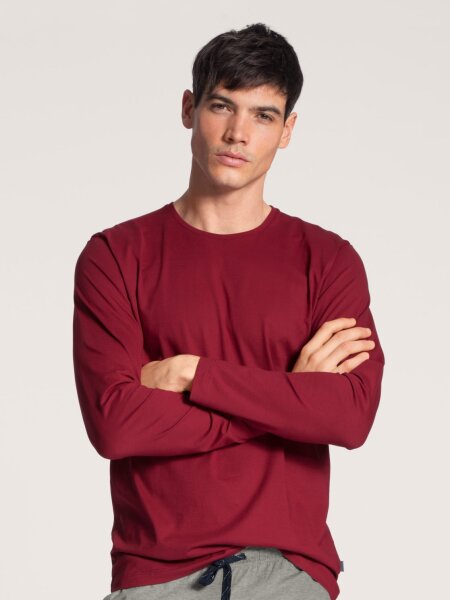 HERREN Shirt langarm