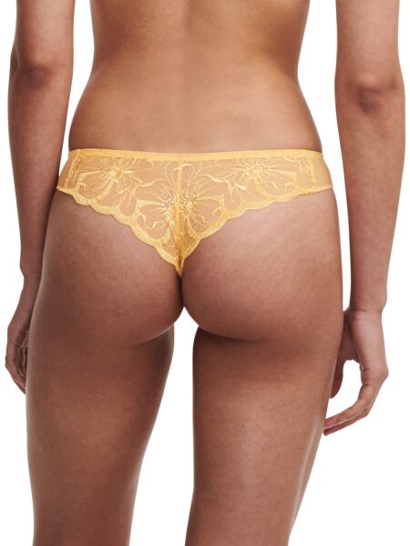 FLEURS LI UN. TANGA NORMAL