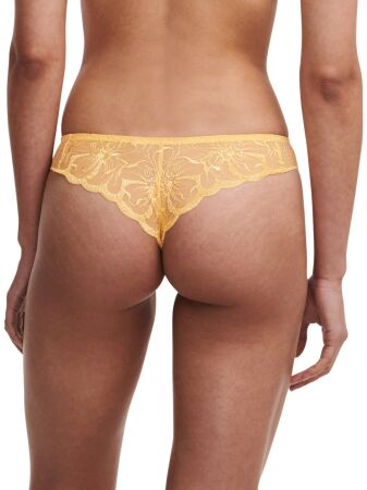 FLEURS LI UN. TANGA NORMAL
