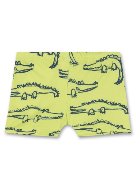 Swim trunks