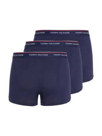3P TRUNK