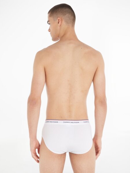 3P BRIEF
