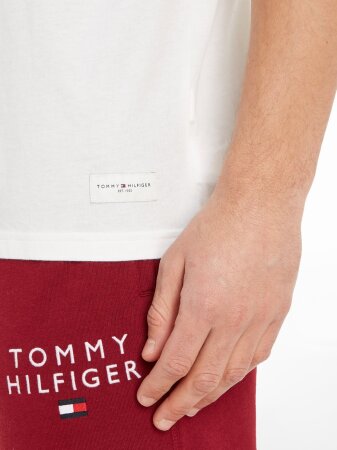 SS TEE LOGO