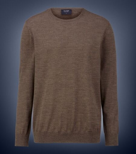 8405/44 Pullover