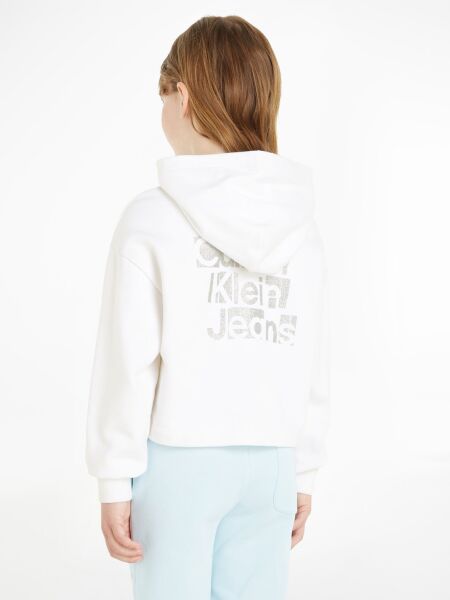 Calvin Klein METALLIC CKJ BACK LOGO HOODIE 74 90 EUR