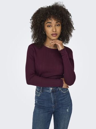 ONLCARLOTTA L/S TOP NOOS JRS