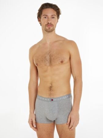 3P TRUNK WB