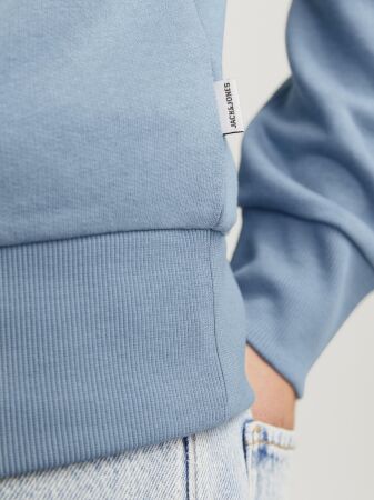 JJELOGO SWEAT HOOD 2 COL 24/25 NOOS