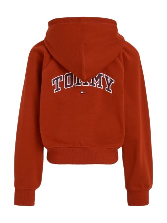 Tommy hilfiger embroidered hoodie top