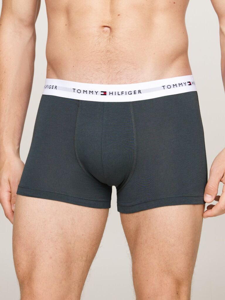 Tommy Hilfiger 3P TRUNK PRINT