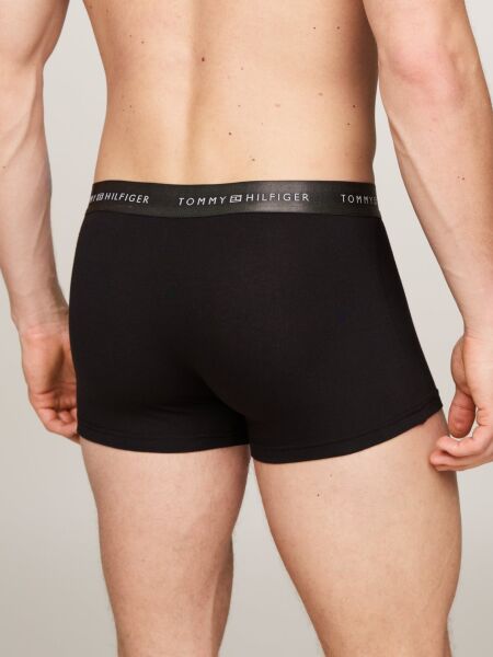 3P TRUNK METALLIC WB