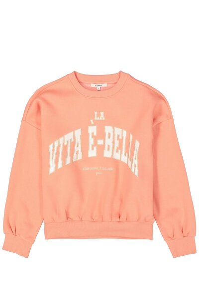 B50062_ladies sweat