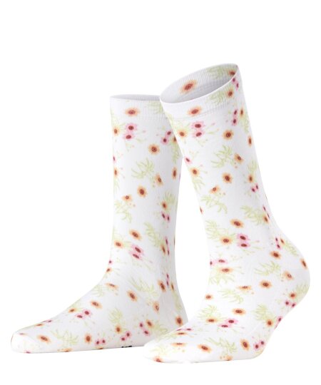 Floral Romance SO