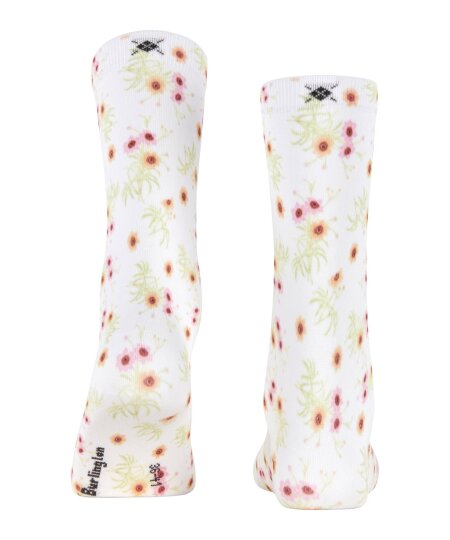 Floral Romance SO