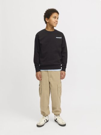 JJCHARGE PRINTED SWEAT CREW NECK JN