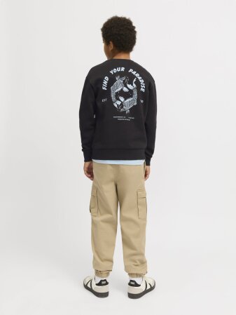 JJCHARGE PRINTED SWEAT CREW NECK JN