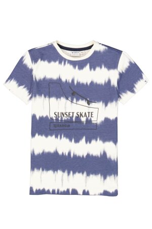 C55603_boys T-shirt ss
