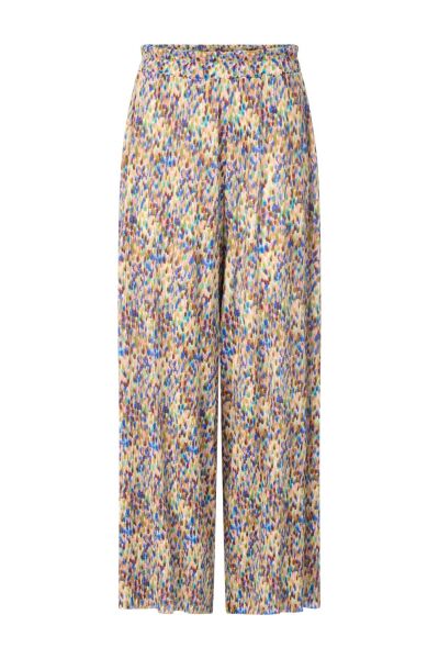 Printed Crinkle Pants