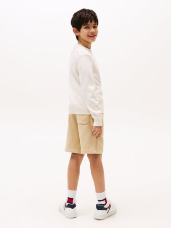 TOMMY SCRIPT FLAG TONAL SWEATER