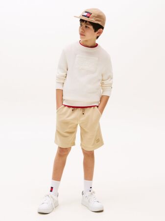 TOMMY SCRIPT FLAG TONAL SWEATER