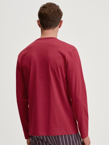 HERREN Shirt langarm