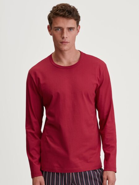 HERREN Shirt langarm