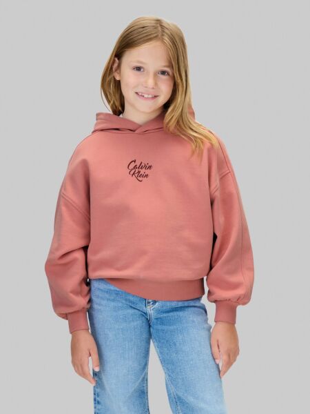 SCRIPT LOGO GRAPHIC TERRY HOODIE