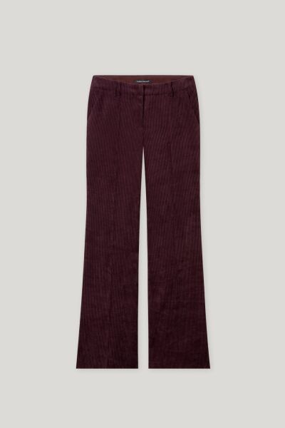 Hose