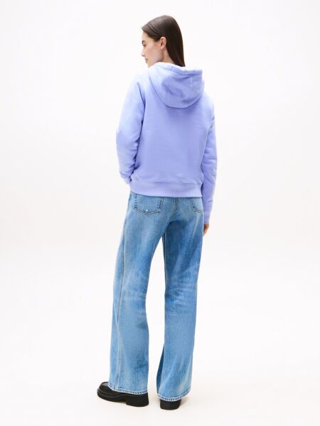TJW REG S FLAG HOODIE