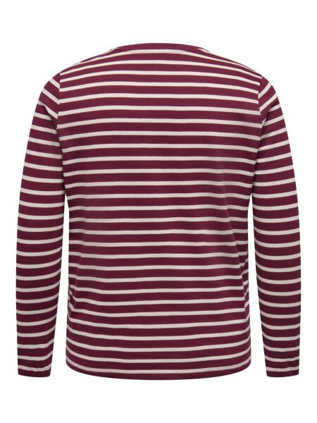CARNEW SOPH LIFE LS STRIPE TOP JRS