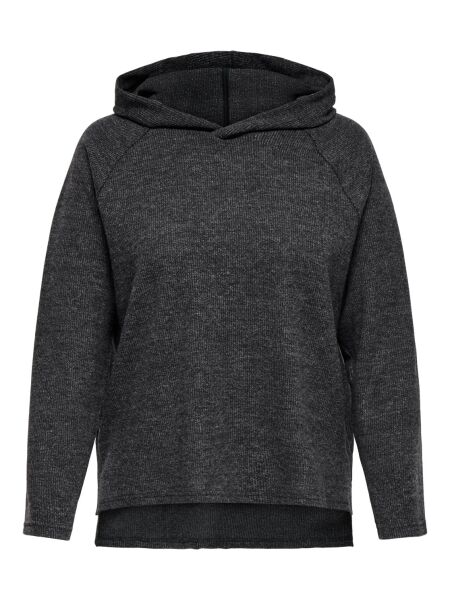 CARBIZZY L/S HOODIE JRS