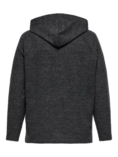 CARBIZZY L/S HOODIE JRS