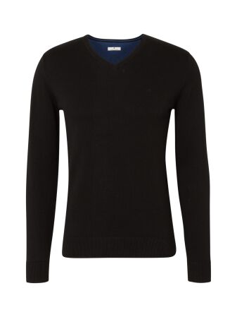 basic v neck sweater