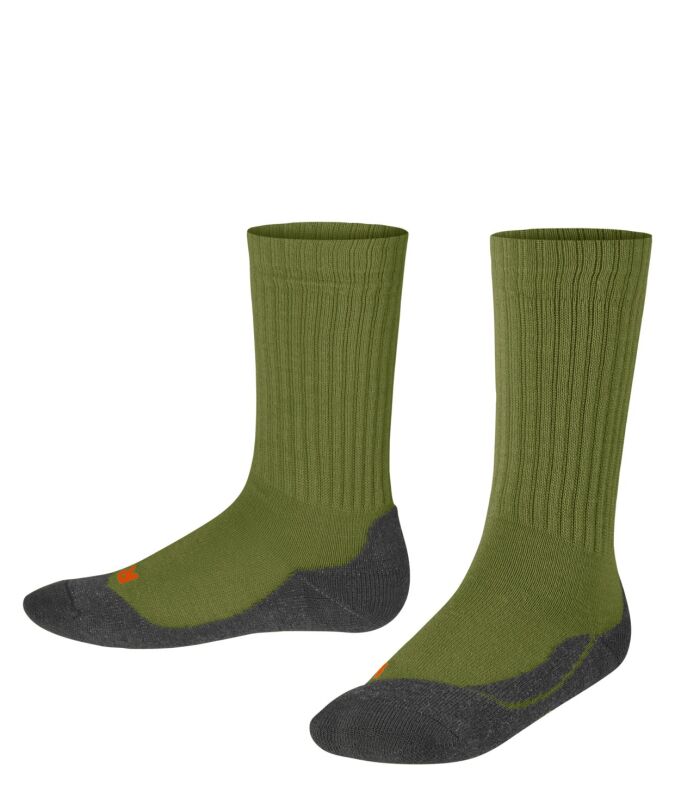 7756 calla green