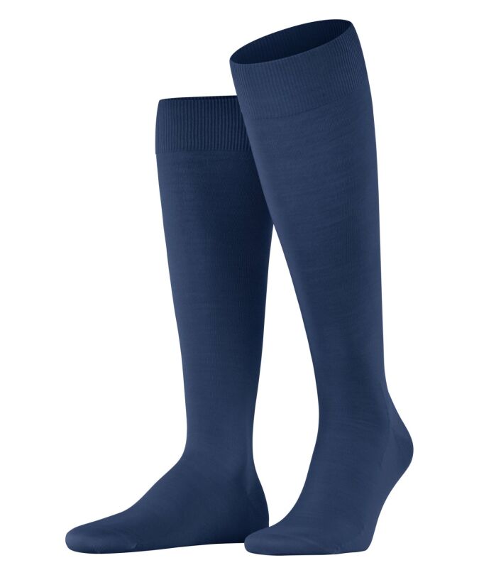 6000 royal blue