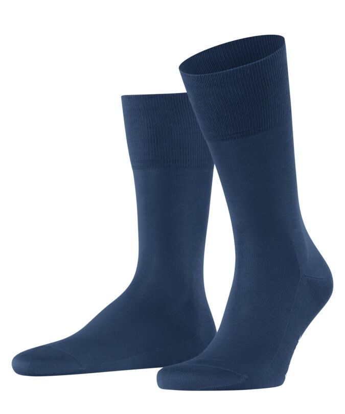 6000 royal blue