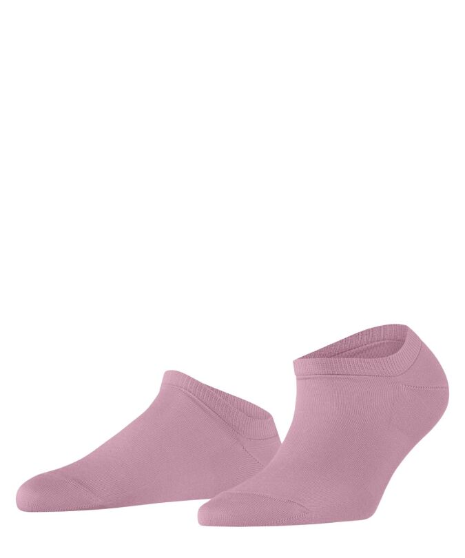 8493 powder pink