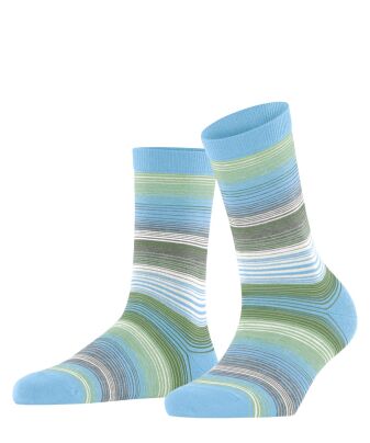 Stripe SO