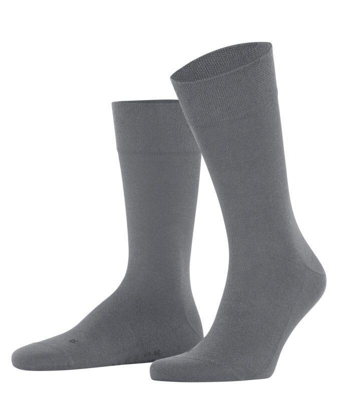 3245 light grey