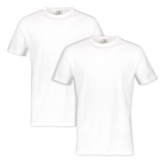 T-SHIRT/SERAFINO 1/2 ARM