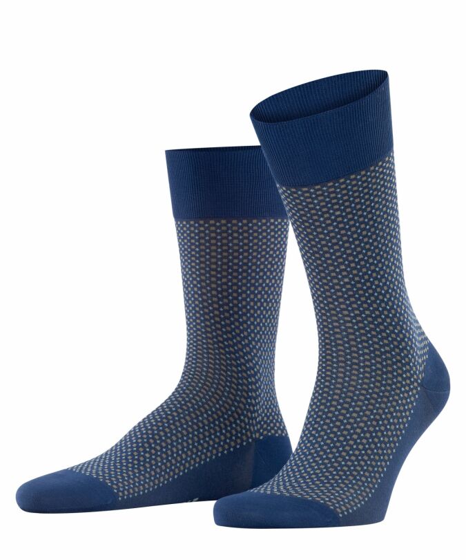 6000 royal blue