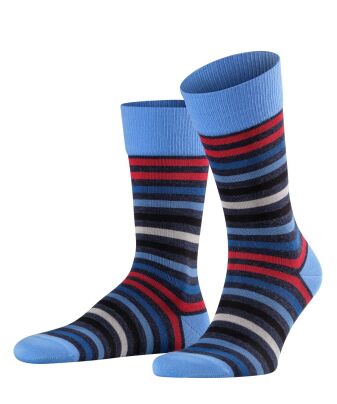 FALKE Tinted Stripe SO