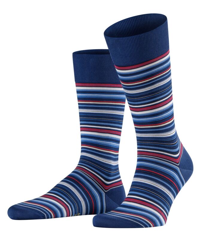 6000 royal blue