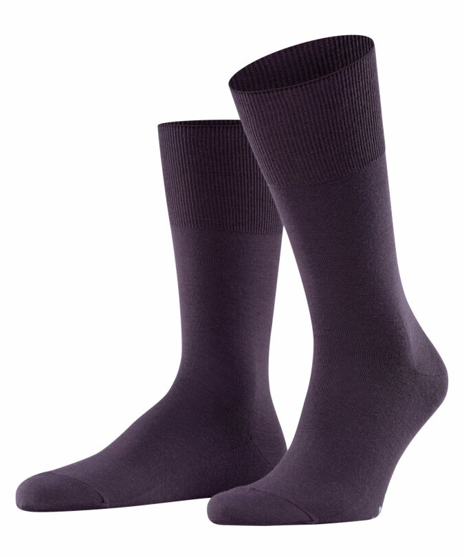 8136 violetonyx